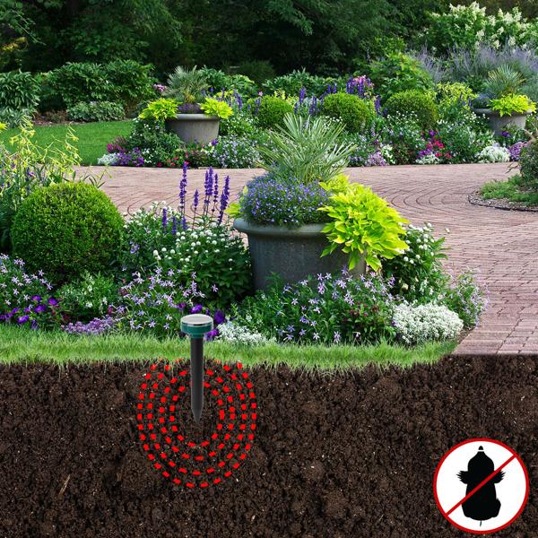Hocheffizienter Maulwurf- und Wühlmaus-Vertreiber, 8er Spar Pack, Erdspiesse, solarbetrieben, bis 5.600 m², IP44, umweltschonend, ohne Chemie