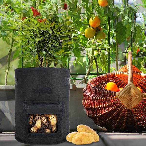 Atmungsaktive 10L Pflanzen-Wachstumssäcke aus Filz, 10er-Set, mit Tragegriffen und Sichtfenster, für Kartoffeln, Gemüse, Beeren und mehr, leicht und robust