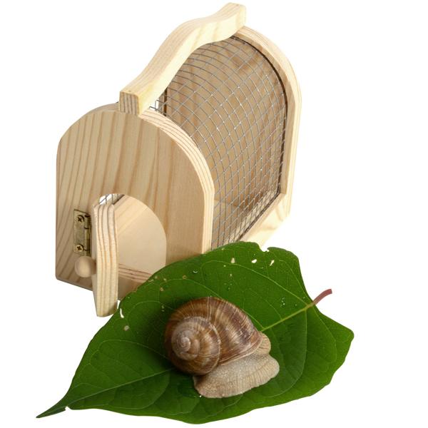 Insektenkasten Holz-Draht Naturbox für Kinder zum Sammeln & Beobachten - Pädagogisches Kinderspielzeug mit Holzgriff - 11x7,5x10 cm - Umweltfreundlich