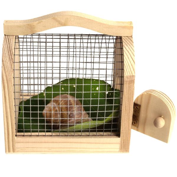 Insektenkasten Holz-Draht Naturbox für Kinder zum Sammeln & Beobachten - Pädagogisches Kinderspielzeug mit Holzgriff - 11x7,5x10 cm - Umweltfreundlich