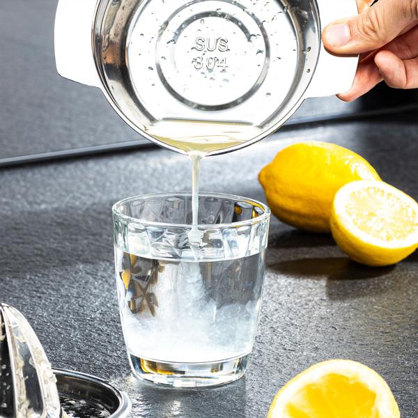 Zitronenpresse Manuell Edelstahl - Für frisch gepresste Fruchtsäfte mit Sieb & Auffangschale - Hygienisch, rostfrei, spülmaschinengeeignet, 16.5x13x10cm