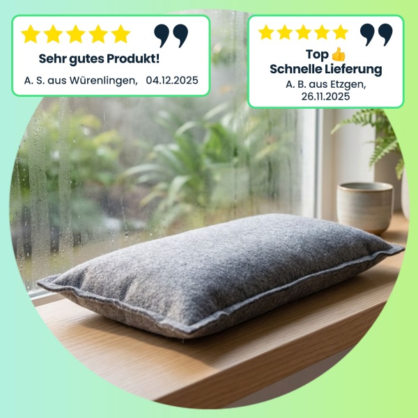 Wiederverwendbarer Silica Gel Luftentfeuchter, 1kg, grau, 500ml Aufnahme, Feuchtigkeitsentferner auf der Heizung im Ofen oder in der Sonne trocknen