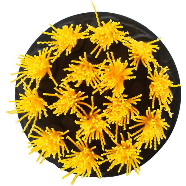 8er Reinigungsbürsten-Spar-Set für Akkuschrauber & Bohrmaschine, gelb/schwarz, Drill Brush Reinigungskit ideal für Küche, Bad, Felgen, Auto