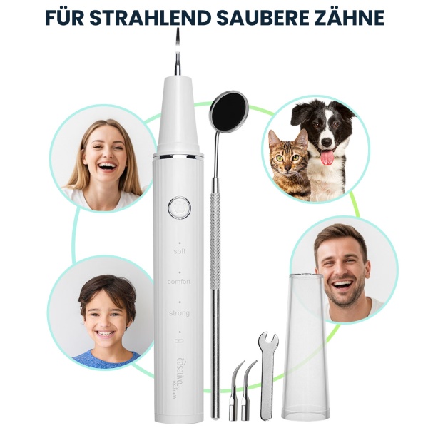 Effektiver Ultraschall-Zahnsteinentferner mit HD-Kamera (weiss): Akku-betriebener Plaque-Entferner für strahlend saubere Zähne
