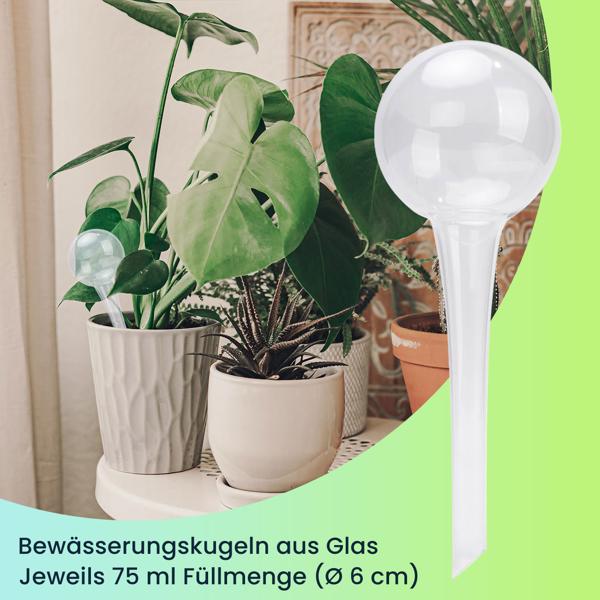 4er-Set Wassersparende Pflanzen Bewässerungskugeln aus Glas, Ø 6 x H 15 cm, Giesskugeln transparent, ideal für Zuhause, Büro und Ferien