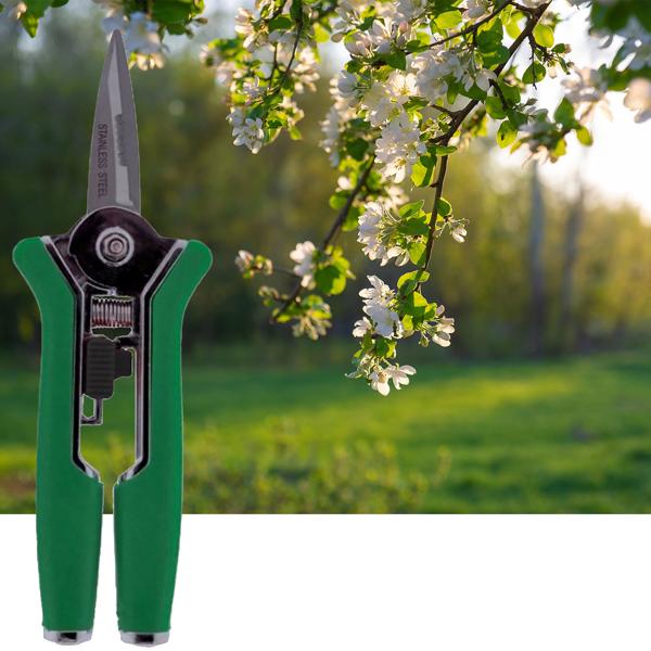 Praktische Gartenschere, 15cm, grün, Klinge aus rostfreiem Stahl - Ergonomischer Griff, für präzise Blüten- und Zweigschnitte