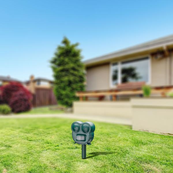 Wirkungsvolle Ultraschall Tierabwehr mit LED-Blitzlicht & PIR-Sensor – 2-in-1 Tierschreck, 70 m² – Vertreibt Katzen, Hunde & Wildtiere