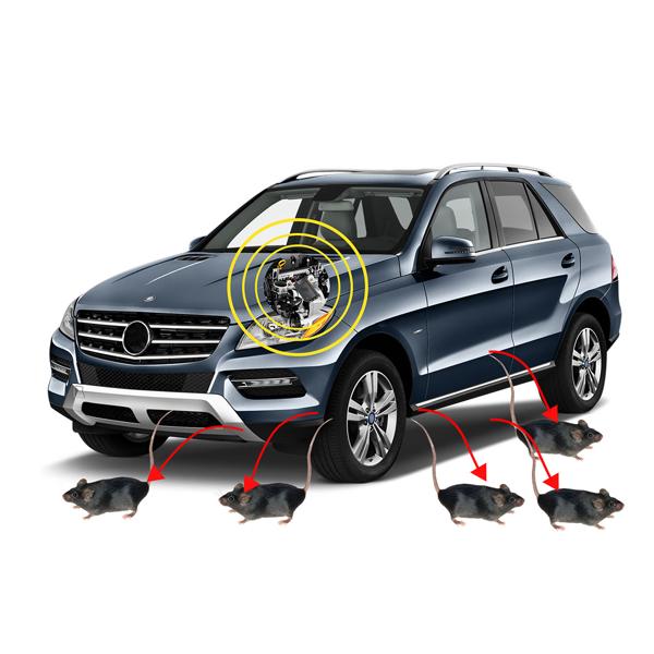 2er-Set Hochfrequenz Ultraschall Marderschreck (12V): Effektive Auto-Marderabwehr mit 12-45kHz & 70dB. Zuverlässiger Schutz für Ihr Fahrzeug