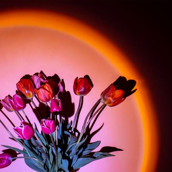 LED Sonnenuntergang Projektionslicht – 180° schwenkbar, Aluminiumgehäuse – stimmungsvolle Beleuchtung für Deko, Fotos & Ambiente – modern & langlebig