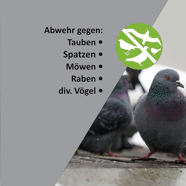 Taubenabwehr Spikes - Tierfreundlicher Vogelschreck für Dach & Balkon - 2,5m Edelstahl-Spitzen - Rostfrei, UV-beständiger Kunststoff - Einfache Montage