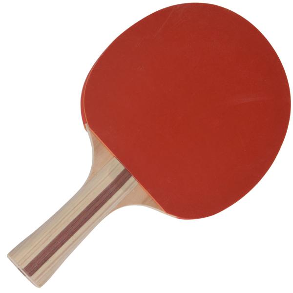 Tischtennis-Set 4-tlg. - 2x Schläger mit Kiefernholzgriff & doppelseitigem Gummi - 2x Bälle mit guter Sprungleistung - Schutzhülle für Indoor & Outdoor