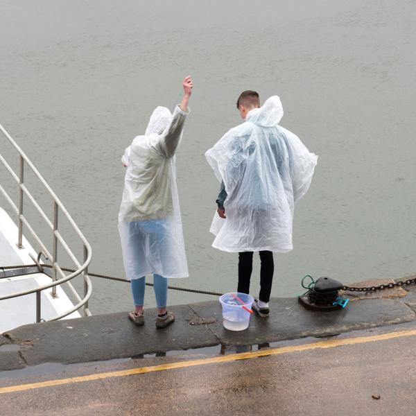 4er-Set Leichter Notfall-Regenponcho mit Kapuze: Transparenter Regenschutz (120 cm) für spontane Schauer – ideal für Outdoor-Aktivitäten