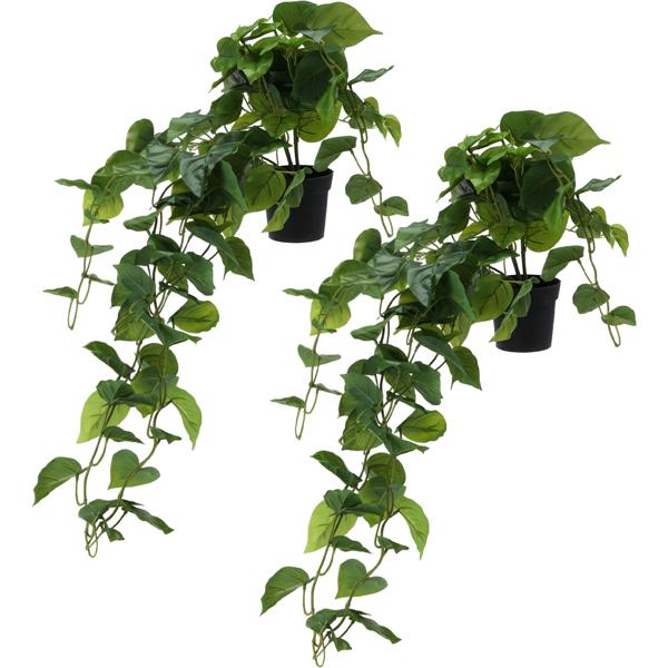 2er-Set Künstliche Hängepflanze 80 cm - Pflegeleicht, langlebig & realistisch - Ideal für dunkle Räume, Allergiker, Haustiere & Vielbeschäftigte