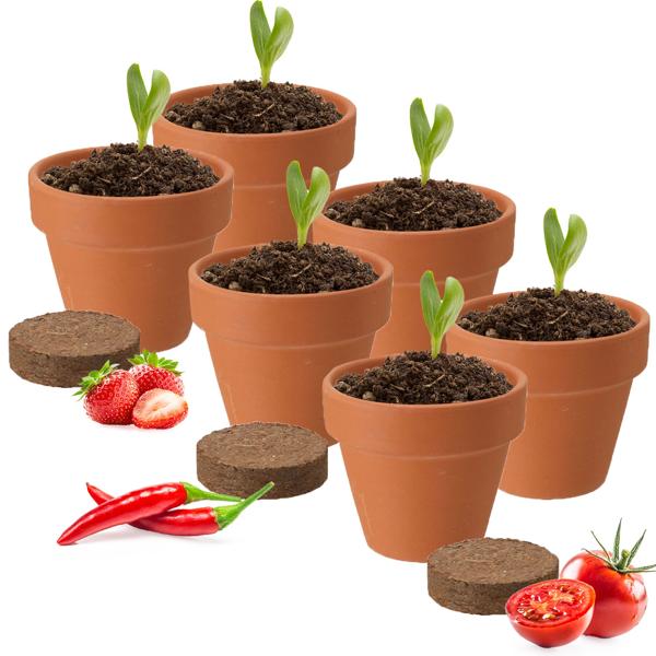 2er-Set Pflanz-Set mit Tontöpfen - Für Tomate, Erdbeere & Chili Samen - Ideal zum Heranziehen von Setzlingen - Mit aufquellender Erde, 5.5x5.5x3.5cm