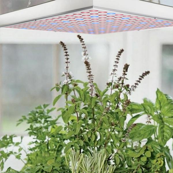 3er Professionelle Pflanzen-Wachstumslampe mit 225 LEDs - 250 Lumen, 300x300x35mm – fördert das Wachstum von Pflanzen effektiv & zuverlässig