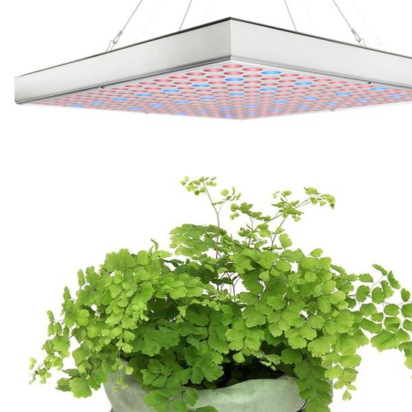 3er Professionelle Pflanzen-Wachstumslampe mit 225 LEDs - 250 Lumen, 300x300x35mm – fördert das Wachstum von Pflanzen effektiv & zuverlässig
