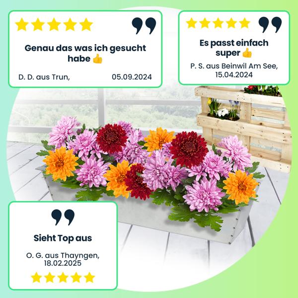 6er-Set Hochwertiger Pflanzkasten - Einsatz für Europaletten, Blumenkübel aus verzinktem Metall, 38,5 x 13,5 x 8,5 cm, zum Bepflanzen und Dekorieren