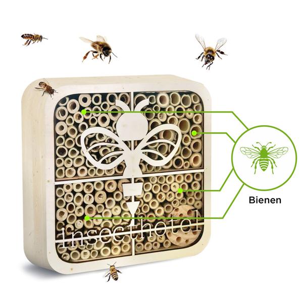 Hochwertiges Insektenhotel ’’Biene’’, kinderfreundlich, Naturholz, 20 x 20 x 7 cm, betet Wildbienen, Hummeln & Co. ein sicheres Zuhause