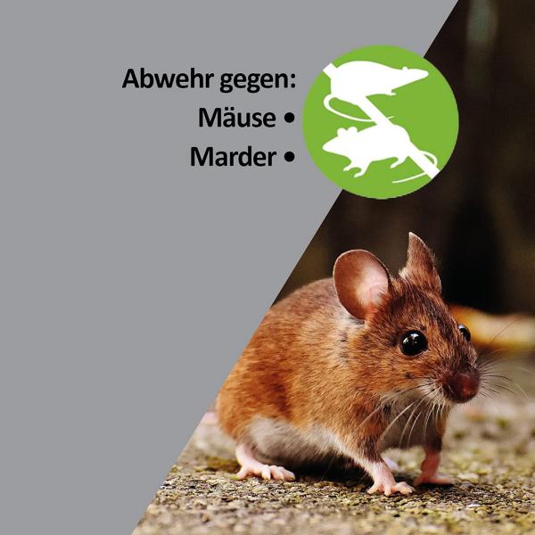 Mardervertreiber - Ultraschall mit Intervall - Mäuse- und Rattenabwehr - Für Haus, Auto, Garage, Dachboden - 60m² Wirkungsbereich - effektiv
