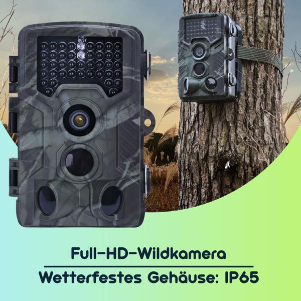 Full-HD-Wildkamera 24 MP mit 3 Bewegungssensoren – Nachtsicht, Serienbild- & Zeitraffer-Funktion, Farbdisplay, wetterfest, ideal zur Tierbeobachtung