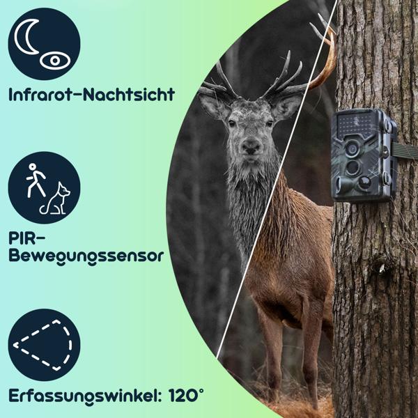 Full-HD-Wildkamera 24 MP mit 3 Bewegungssensoren – Nachtsicht, Serienbild- & Zeitraffer-Funktion, Farbdisplay, wetterfest, ideal zur Tierbeobachtung