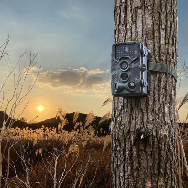 Full-HD-Wildkamera 24 MP mit 3 Bewegungssensoren – Nachtsicht, Serienbild- & Zeitraffer-Funktion, Farbdisplay, wetterfest, ideal zur Tierbeobachtung