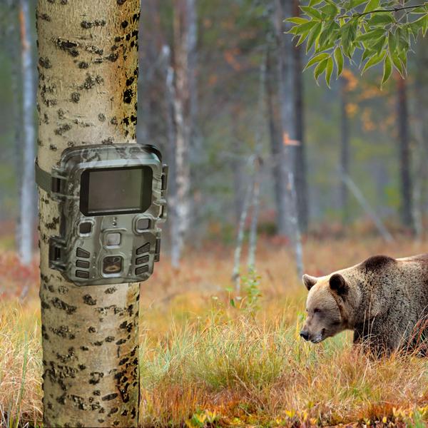 Kompakte Wildkamera, Full HD, PIR Bewegungssensor, Nachtsicht mit IR LEDs, IPX5, 180g leicht, Farbdisplay, für eine diskrete Tierbeobachtung