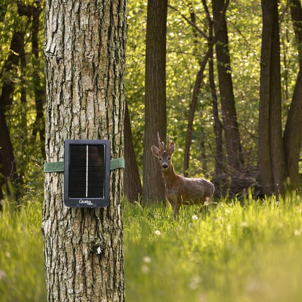 4K-UHD-Wildkamera inkl. Solar Panel im Spar Pack, Nachtsicht, WLAN, PIR, IP65, 3000 mAh, Kein Aufladen mehr notwendig