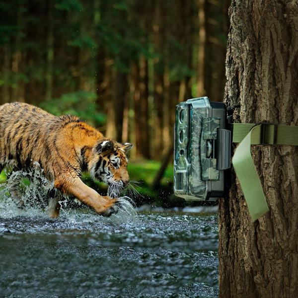 Profi 4K-Wildkamera mit IR-Nachtsicht-, Zeitraffer- & Timerfunktion, PIR Sensor, Dual Lens, Mikrofon, Multi-Shot, IP65