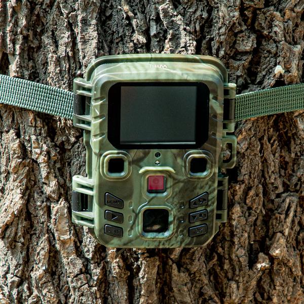 Wildkamera 2K WLAN, Bewegungsmelder, Nachtsicht, Live View per App, Farbdisplay, Mikro, Bluetooth, Zeitraffer- & Serienbild, Stand-By 6 Mo, IPX5