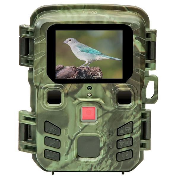 Wildkamera 2K WLAN, Bewegungsmelder, Nachtsicht, Live View per App, Farbdisplay, Mikro, Bluetooth, Zeitraffer- & Serienbild, Stand-By 6 Mo, IPX5