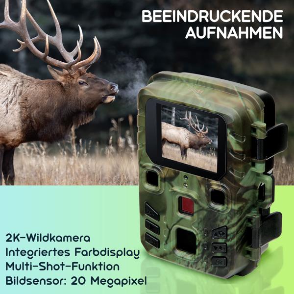 Wildkamera 2K WLAN, Bewegungsmelder, Nachtsicht, Live View per App, Farbdisplay, Mikro, Bluetooth, Zeitraffer- & Serienbild, Stand-By 6 Mo, IPX5