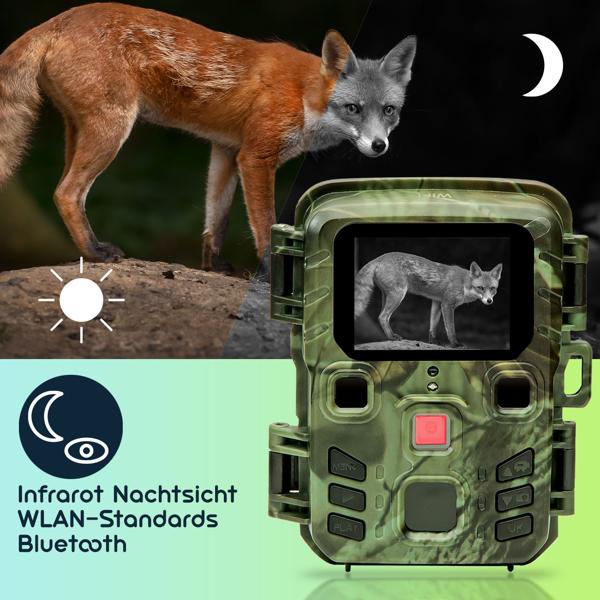 Wildkamera 2K WLAN, Bewegungsmelder, Nachtsicht, Live View per App, Farbdisplay, Mikro, Bluetooth, Zeitraffer- & Serienbild, Stand-By 6 Mo, IPX5