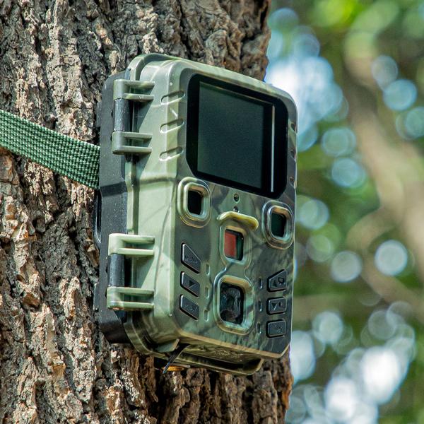 Wildkamera 2K WLAN, Bewegungsmelder, Nachtsicht, Live View per App, Farbdisplay, Mikro, Bluetooth, Zeitraffer- & Serienbild, Stand-By 6 Mo, IPX5