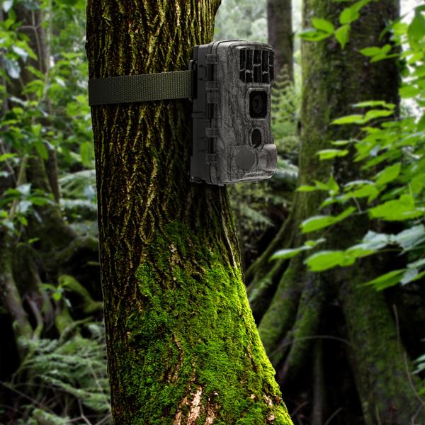 4K-UHD-Wildkamera inkl. Solar Panel im Spar Pack, Nachtsicht, WLAN, PIR, IP65, 3000 mAh, Kein Aufladen mehr notwendig