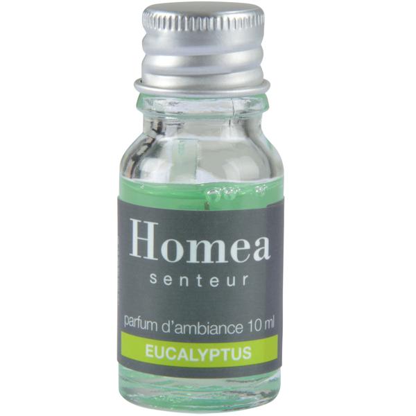 Duftöl Eukalyptus 10ml - Wohlfühlduft für Ihr Wellnesszuhause - belebende Aromen - für Potpourri & Aromabrenner - entspannt & erfrischt