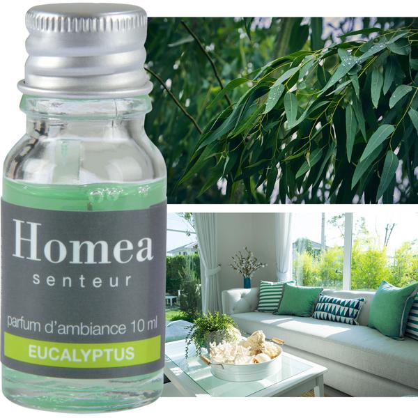 Duftöl Eukalyptus 10ml - Wohlfühlduft für Ihr Wellnesszuhause - belebende Aromen - für Potpourri & Aromabrenner - entspannt & erfrischt