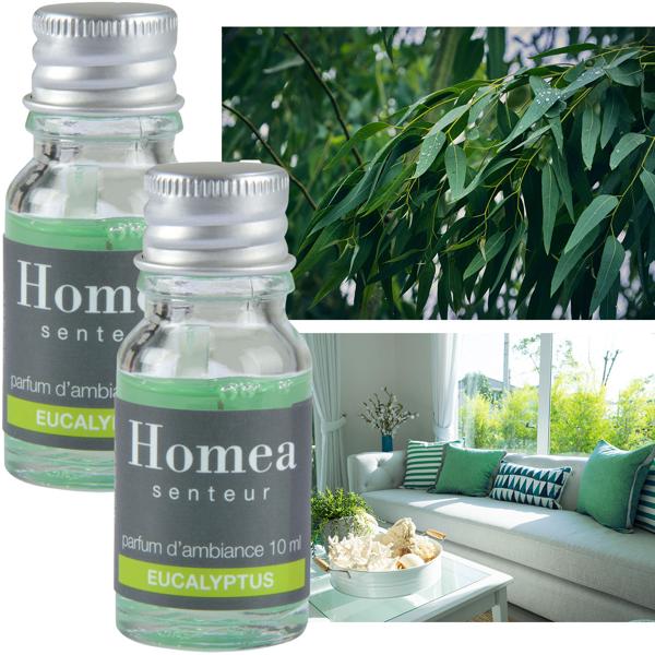 2er-Set Duftöl Eukalyptus - Raumduft für Wellnesszuhause - je 10ml - erfrischend belebend - für Potpourri & Aromabrenner geeignet