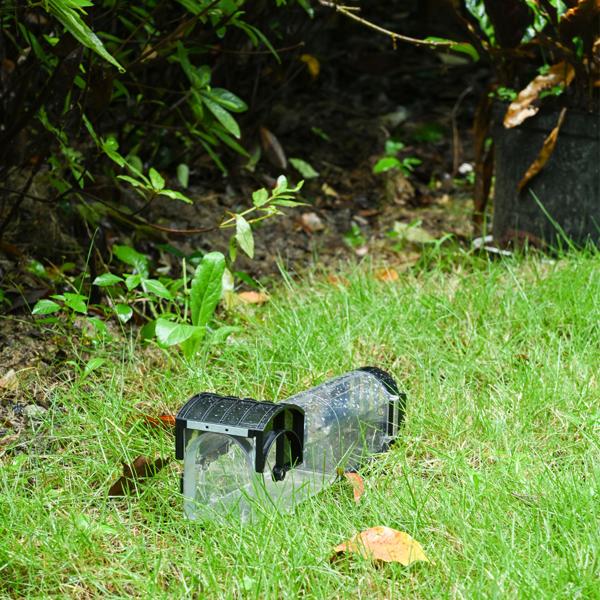 3er-Set Tierfreundliche Lebendfalle für Mäuse: Wiederverwendbare, transparente Mausefalle (31,5x7,5x8cm) für sichtbaren Fang – Sicher & effektiv