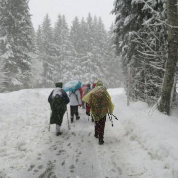 8er-Set Notfall Regenponcho gelb - zuverlässiger Schutz vor Regen - mit Kapuze & Ärmeln - platzsparend verstaubar - ideal für Outdoor, Festivals & Camping