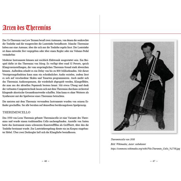 Theremin Bausatz - Elektronisches Musikinstrument zum Selberbauen für Einsteiger ab 14 Jahren - voll funktionsfähig - mit vorbestückter Platine