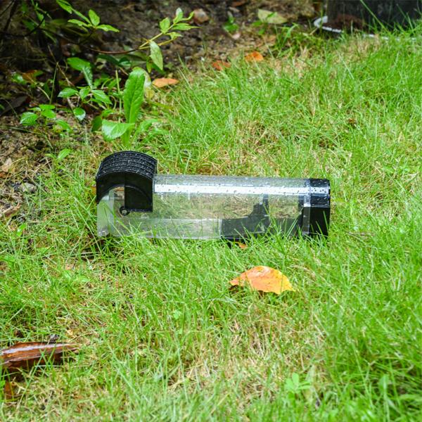 Tierfreundliche Lebendfalle für Mäuse: Wiederverwendbare, transparente Mausefalle (31,5x7,5x8cm) für humanen Fang – Sicher & effektiv