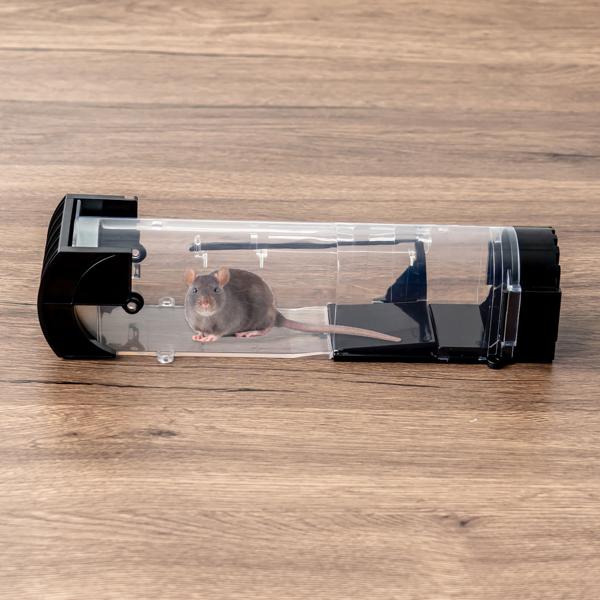 2er-Set Tierfreundliche Lebendfalle für Mäuse: Wiederverwendbare, transparente Mausefalle (31,5x7,5x8cm) für humanen Fang – Sicher & effektiv