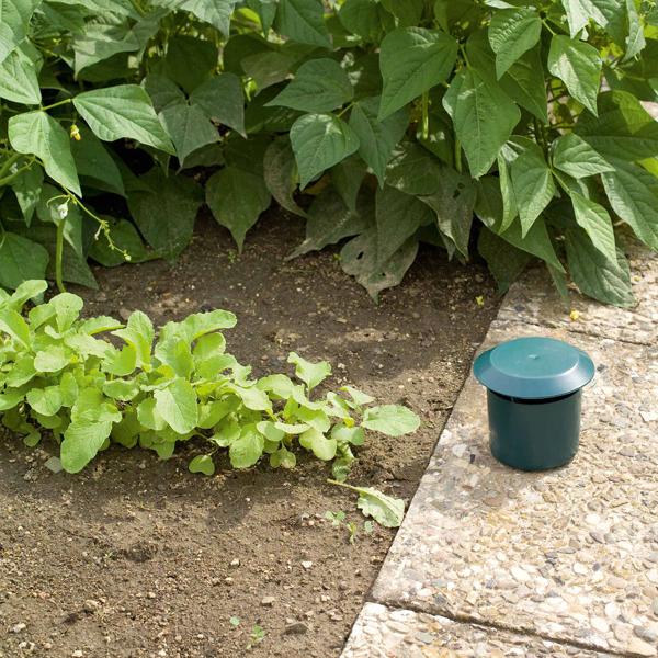 2er-Set Bio-Schneckenfallen, umweltfreundlich, befüllbar mit Bier/Zuckerwasser, effektive Schneckenbekämpfung, nachhaltiger Schutz