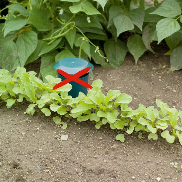 4er-Set Bio-Schneckenfallen, umweltfreundlich, befüllbar mit Bier/Zuckerwasser, effektive Schneckenbekämpfung, nachhaltiger Schutz