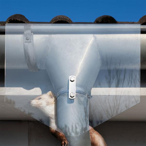 Zuverlässiges Marder-Abwehr-Schild für Dachrinnen & Fallrohre, sicherer Kletterschutz vor Mardern und Waschbären