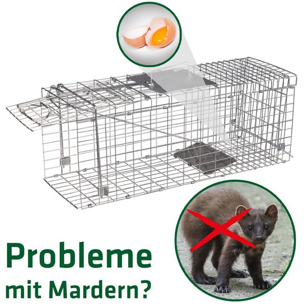 Robuste Marder Lebendfalle (66x26x23cm) aus Metall – Mit Tragegriff & Beissschutz – Sicherer Fang ohne Verletzungen für Mensch und Tier