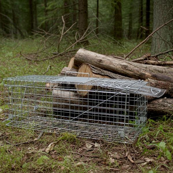 Robuste Marder Lebendfalle (66x26x23cm) aus Metall – Mit Tragegriff & Beissschutz – Sicherer Fang ohne Verletzungen für Mensch und Tier