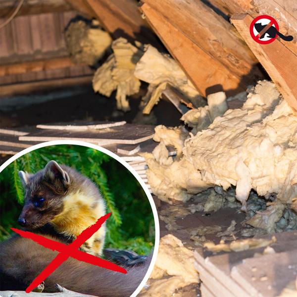 Robuste Marder Lebendfalle (66x26x23cm) aus Metall – Mit Tragegriff & Beissschutz – Sicherer Fang ohne Verletzungen für Mensch und Tier