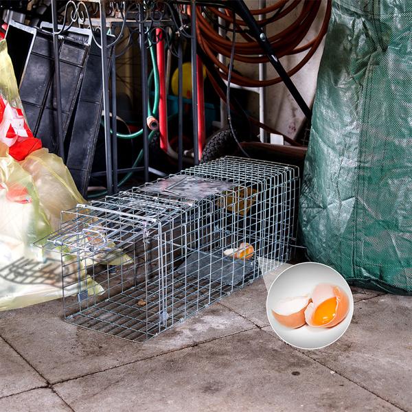 Robuste Marder Lebendfalle (66x26x23cm) aus Metall – Mit Tragegriff & Beissschutz – Sicherer Fang ohne Verletzungen für Mensch und Tier